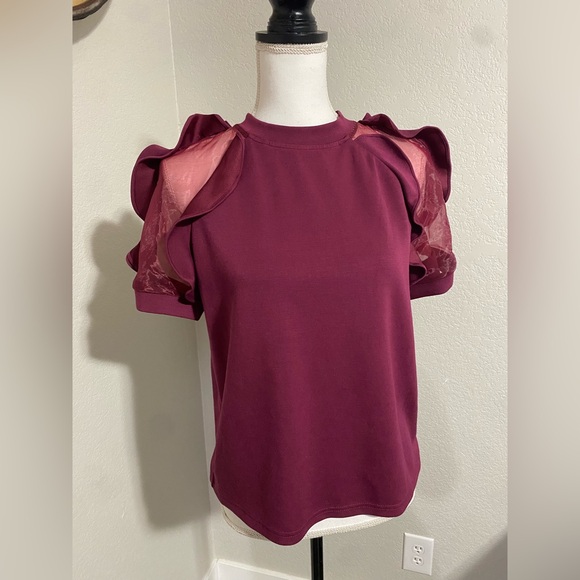 Elegant Burgundy Ruffle Sleeve Top - Picture 1 of 4